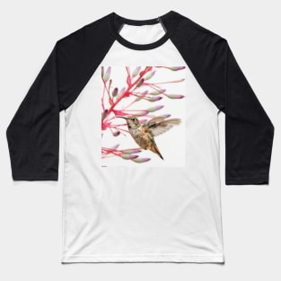 Young Allen's Hummingbird Baseball T-Shirt